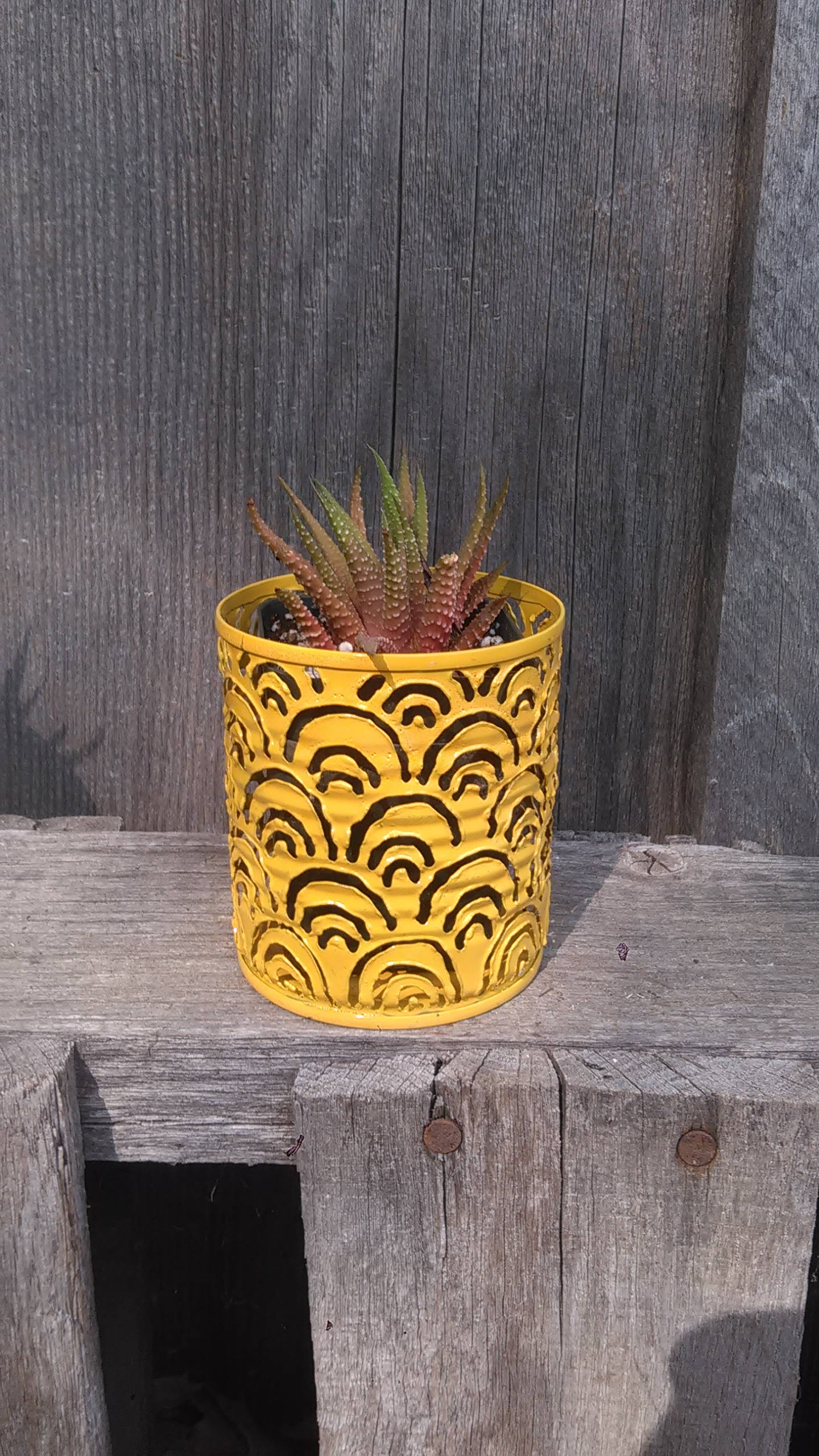 Tiny Succulent Plant Pots / Tealight Luminary Candle Holder