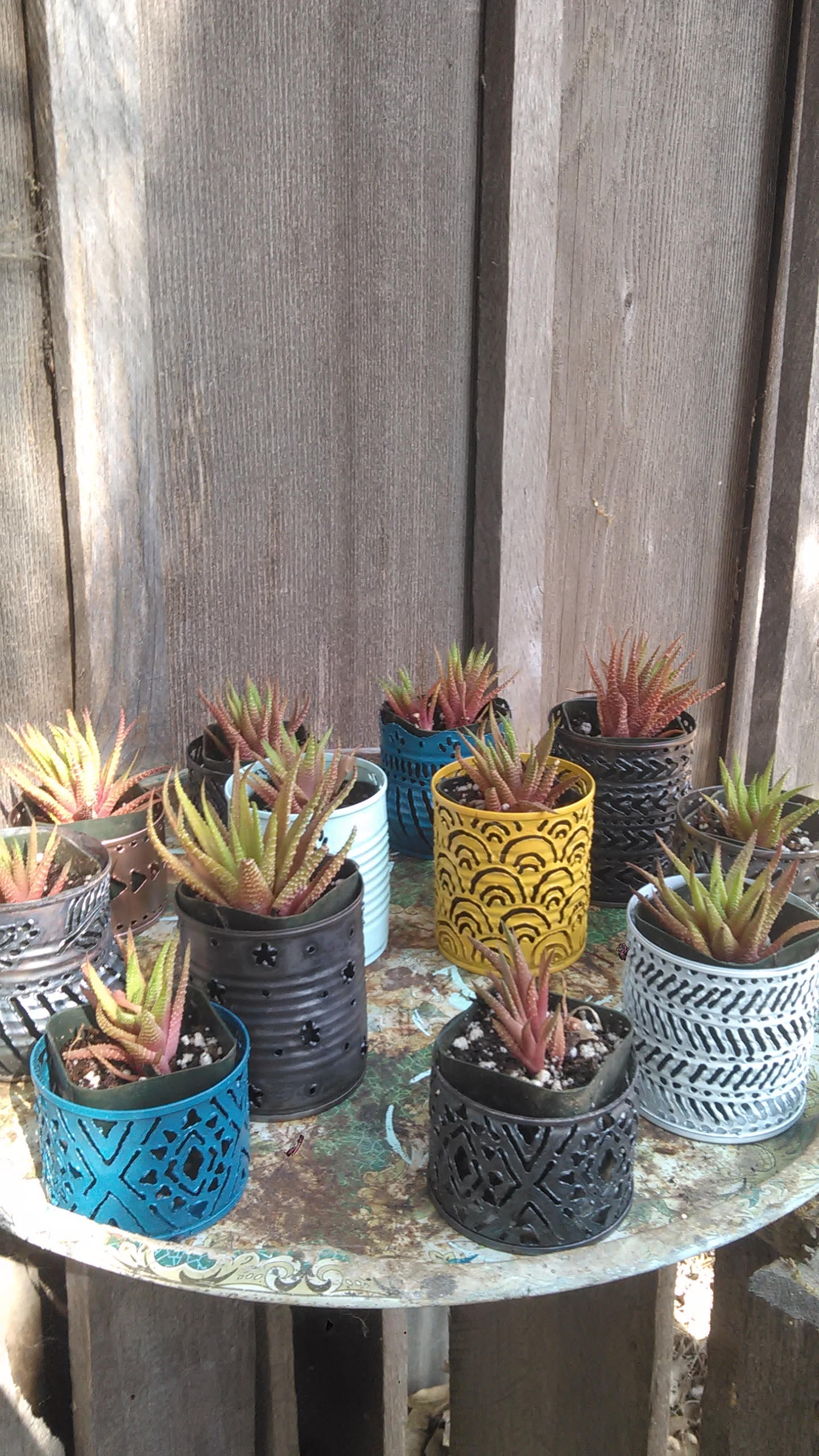 succulents in votive holders Tiny Succulent Plant Pots / Tealight Luminary Candle Holder – Manifest Station Studio
