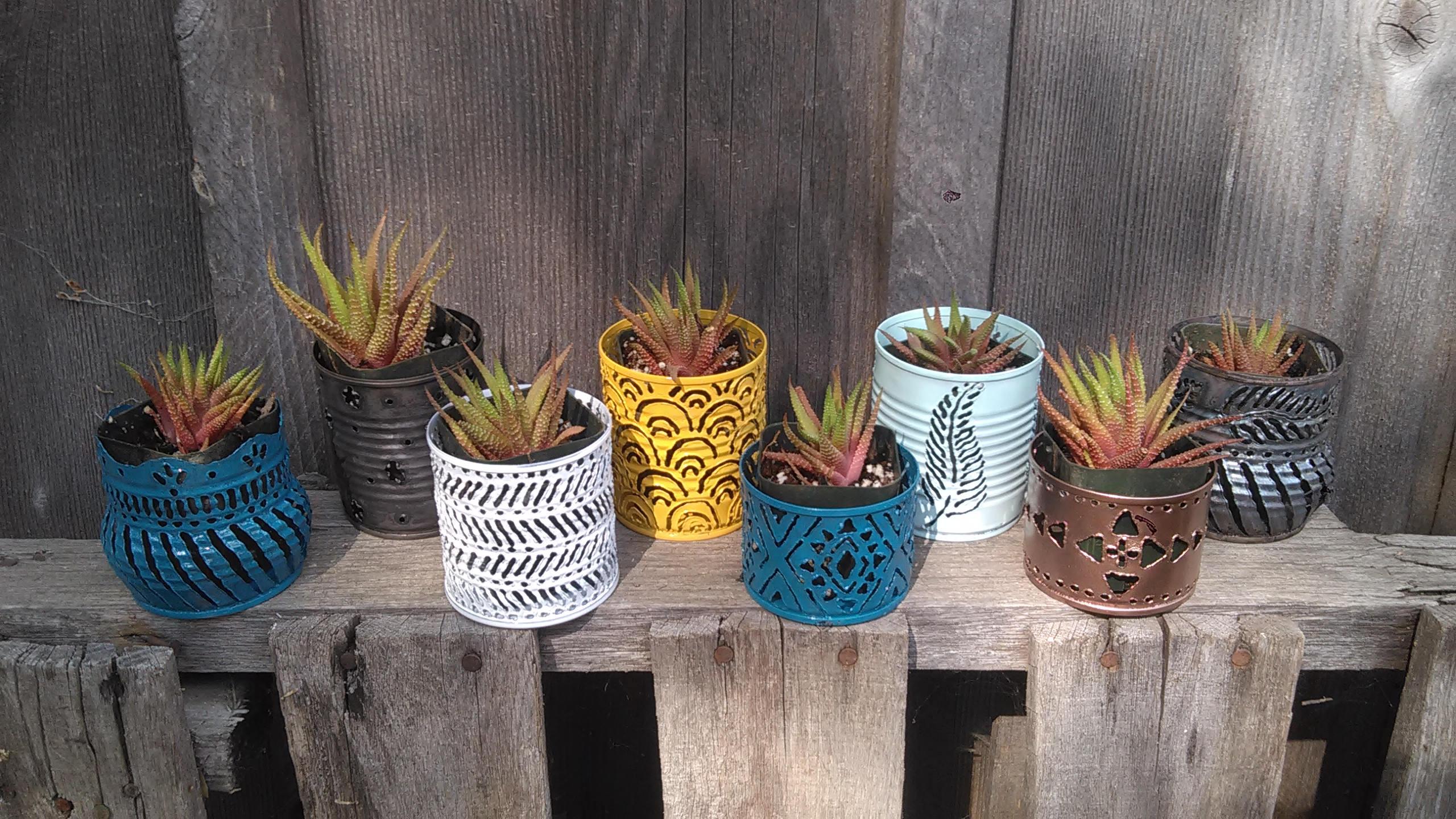 succulents in votive holders Tiny Succulent Plant Pots / Tealight Luminary Candle Holder – Manifest Station Studio